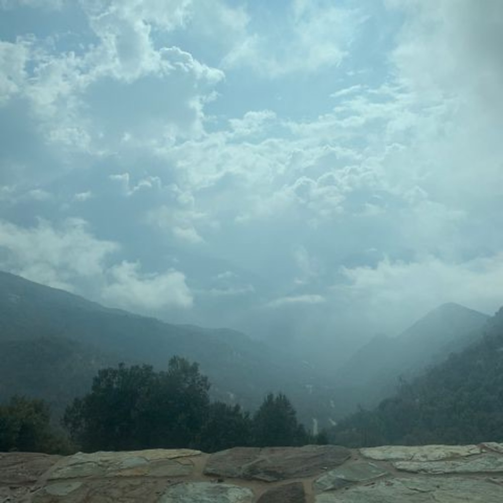 Meet your Posher, Suzy